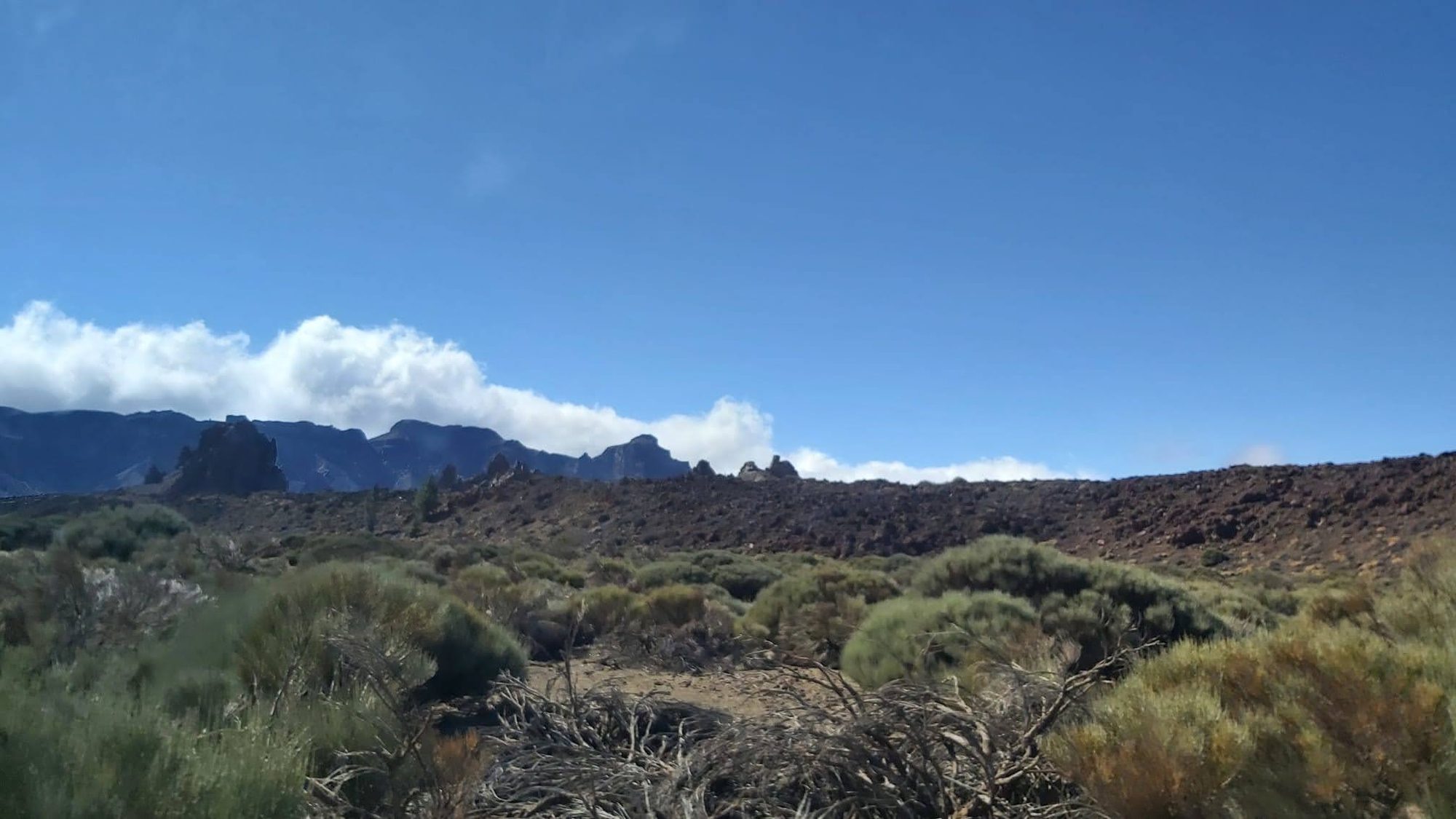 Paisaje volcánico con matorrales áridos y montañas bajo un cielo azul despejado.